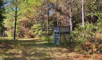 0 CR 320, Big Creek, MS 38914