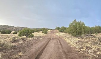 Pinon Valley Ranch lot 9, Concho, AZ 85924