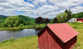 240 Dowie Rd, Andes, NY 13731
