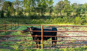 6152 County Road O-527, Ava, MO 65608