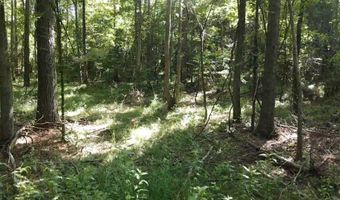 Tbd Bahalia Rd, Brookhaven, MS 39601