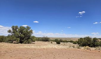 27 N 9183, Concho, AZ 85924