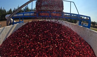 54981 MORRISON Rd, Bandon, OR 97411