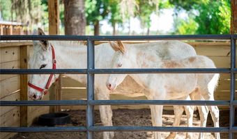 14661 Duke Hwy, Alva, FL 33920