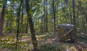 Anding Oil City Road, Bentonia, MS 39040