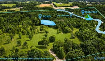 58 Acres Naples Ln, Arab, AL 35016