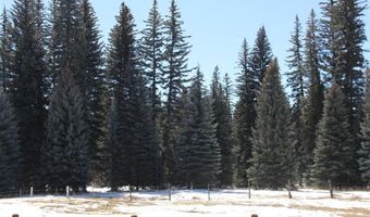 201 Golden Forest Rd, Bayfield, CO 81122