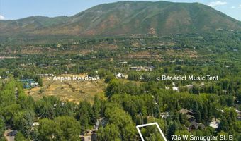 736 W Smuggler St, Aspen, CO 81611
