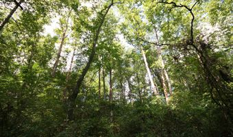 TBA BETTYS BRANCH RD X, Arvonia, VA 23004