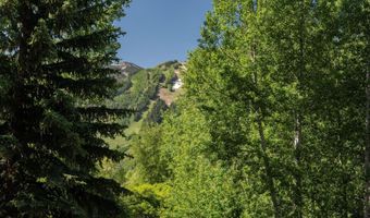 62 Bennett Ct, Aspen, CO 81611