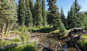 201 Golden Forest Rd, Bayfield, CO 81122