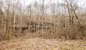 County Road 19-A, Alton, MO 65606
