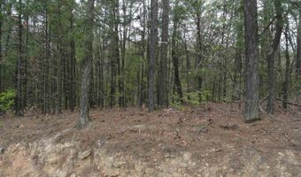 Long Branch Lane, Bee Branch, AR 72013