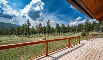 115 Blue Deer Ranch Road B-109, Buena Vista, NM 87712