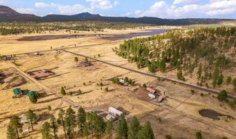 4 County Road 2110, Alpine, AZ 85920