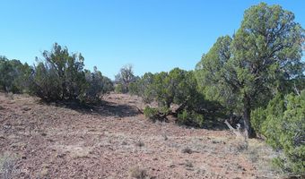Tbd Wicked Sisters Way 38ac, Concho, AZ 85924
