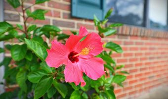 201 Green Shade Rd, Bainbridge, GA 39819