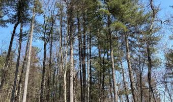 TALLMAN HOLLOW ROAD LOT #4, Montoursville, PA 17754