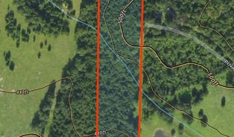 11 Acres RISER MILL ROAD Lot 11 Acres, Alpine, AL 35014