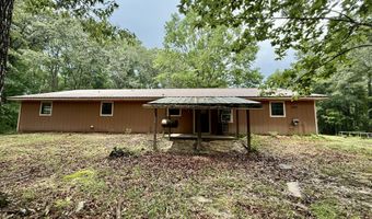 1551 Buckatunna Chicora Clara Rd, Buckatunna, MS 39322
