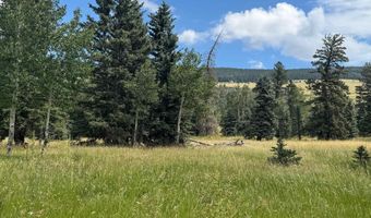 El Camino Real lot 80, Angel Fire, NM 87710