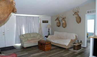 25685 Y9 Rd, Bedrock, CO 81411