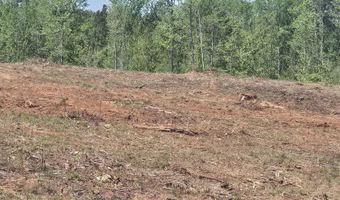 0 Elberton Hwy, Lincolnton, GA 30817