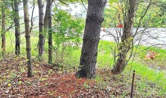 Parcel 2 Lakeshore Road, Applegate, MI 48401