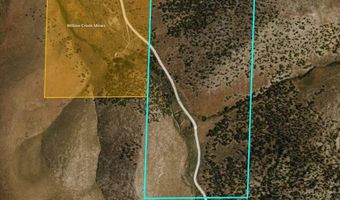 008-560 13 Willow Creek Ranch Rd, Imlay, NV 89418