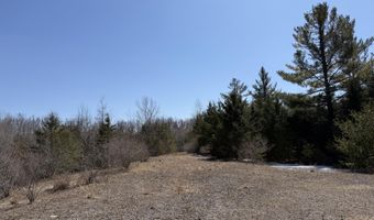 139 AC Witt Rd, Alpena, MI 49707