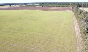 72 Nw Pl, Bell, FL 32619