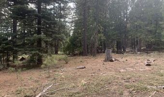 Railroad Flat Dr, Alturas, CA 96101