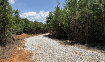 Lot 2 Silver Dollar, Barnesville, GA 30204