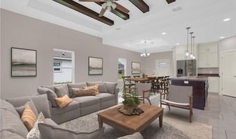 824 Lark St, Alamo, TX 78516