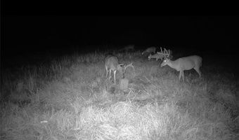 Tract B BOOMERANG Road lot Tract, Amite, LA 70422