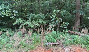 0 Carnes Chapel Rd, Attalla, AL 35954