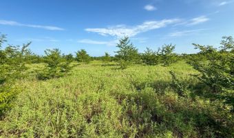 Tract 2 Highway 70 Acres, Bennington, OK 74723