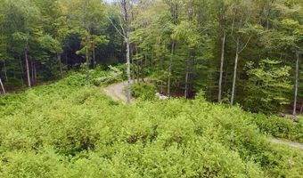 224 Arrau Rd, Andover, VT 05143