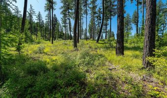 205 Trading Post Trl, Bigfork, MT 59911