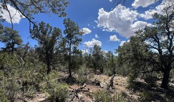 109 Of Twin Fawn Ln, Ash Fork, AZ 86320