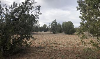 302-17 306 Haywire Rd, Ash Fork, AZ 86320
