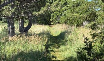 42444 U.S. Hwy 20, Ainsworth, NE 69210