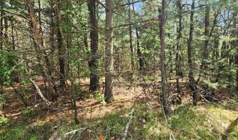 Lot 303 Cypress Drive, Arkdale, WI 54613
