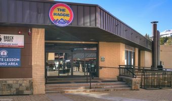 535 S Park Ave 317, Breckenridge, CO 80424