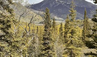 B005 Packsaddle Road, Chickaloon, AK 99674