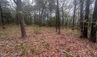 UNIT # 263B KIAMICHI WILDERNESS RD Unit # 63 63, Antlers, OK 74523