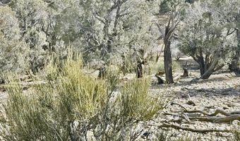 CR 2550 Road, Aztec, NM 87410