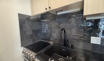 725 E Main St 107, Aspen, CO 81611