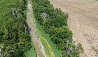 Dawling Bayou Road, Anguilla, MS 38721
