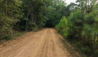 235 Woodrow Martin Rd, Brandon, MS 39042